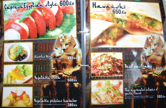 090909_k0047_ex01.jpg