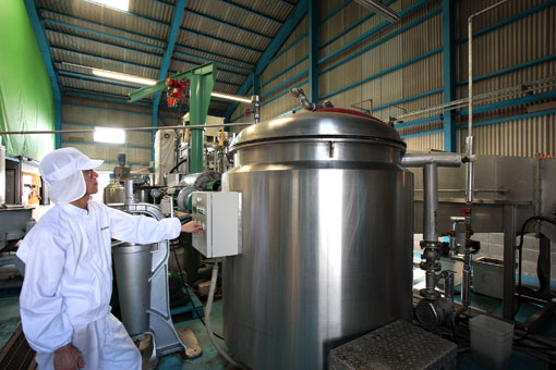 http://www.business-plus.net/interview/0912/images/091216_k0094_photo08.jpg