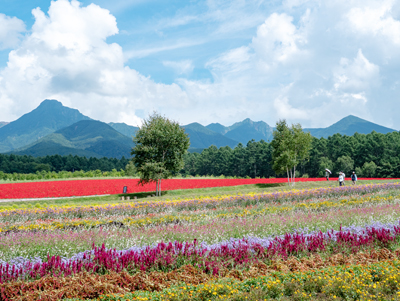 八ヶ岳農業大学校に花畑「YATZ GARDEN」がオープン！ テクノロジーも活用し、新たな農業を実践