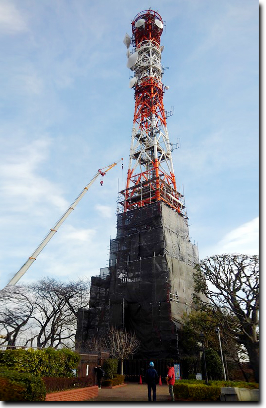 電波塔のような特殊な建物の足場もお任せ