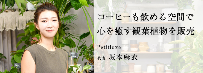 コーヒーも飲める空間で　心を癒す観葉植物を販売
Petitluxe 代表 坂本麻衣