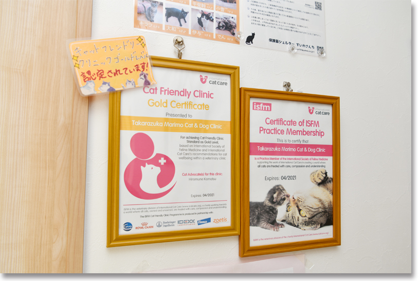 「キャット・フレンドリー・クリニック」のゴールドレベルに認定