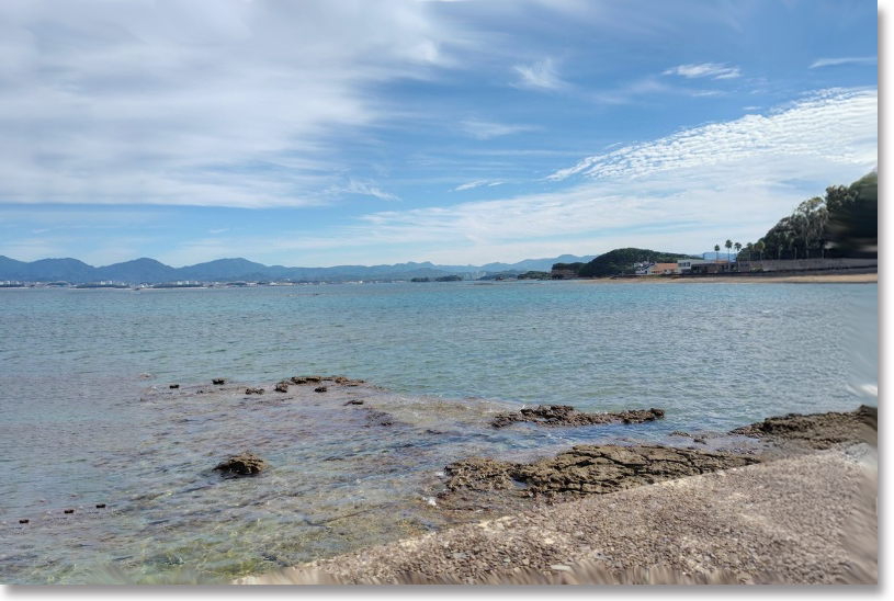 各地の海を訪れ、観察を続ける