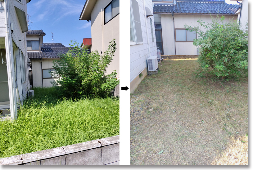 生い茂った雑草が、見違えるようにすっきり