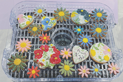 glay-s1top.jpg