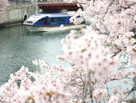 ホテル専用クルーズ船で優雅にお花見　桜の季節だけのクルーズステイプラン