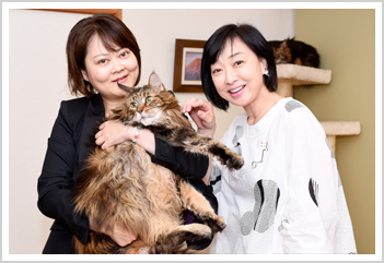glay-s1top.jpg