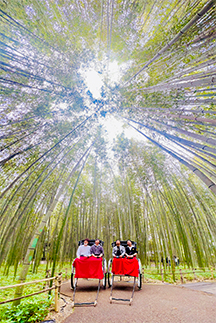 glay-s1top.jpg