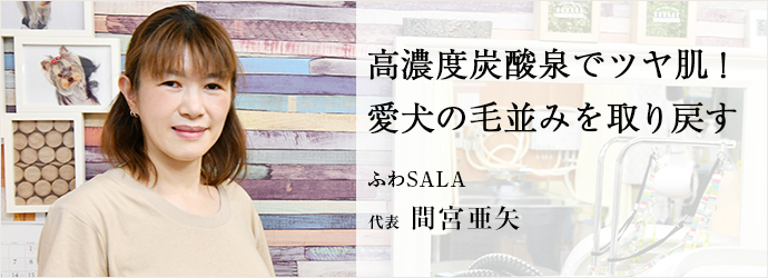 高濃度炭酸泉でツヤ肌！　愛犬の毛並みを取り戻す
ふわSALA 代表 間宮亜矢