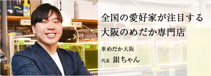 全国の愛好家が注目する　大阪のめだか専門店
華めだか大阪 代表 銀ちゃん