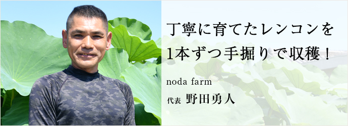 丁寧に育てたレンコンを　1本ずつ手掘りで収穫！
noda farm 代表 野田勇人