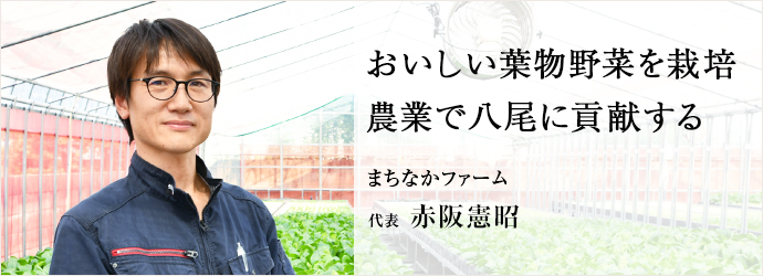 おいしい葉物野菜を栽培　農業で八尾に貢献する
まちなかファーム 代表 赤阪憲昭