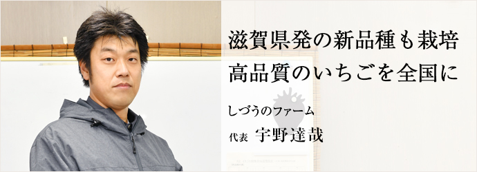 滋賀県発の新品種も栽培　高品質のいちごを全国に
しづうのファーム 代表 宇野達哉