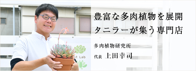 豊富な多肉植物を展開　タニラーが集う専門店
多肉植物研究所 代表 上田幸司