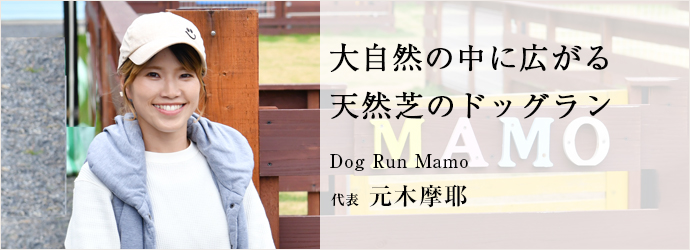 大自然の中に広がる
天然芝のドッグラン大自然の中に広がる　天然芝のドッグラン
Dog Run Mamo 代表 元木摩耶
