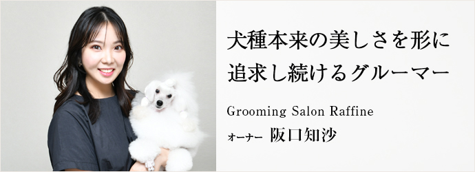 犬種本来の美しさを形に　追求し続けるグルーマー
Grooming Salon Raffine オーナー 阪口知沙